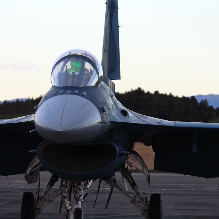 Fighterpilot_World🌏