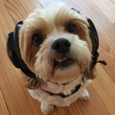 Firstdog Onthemoon