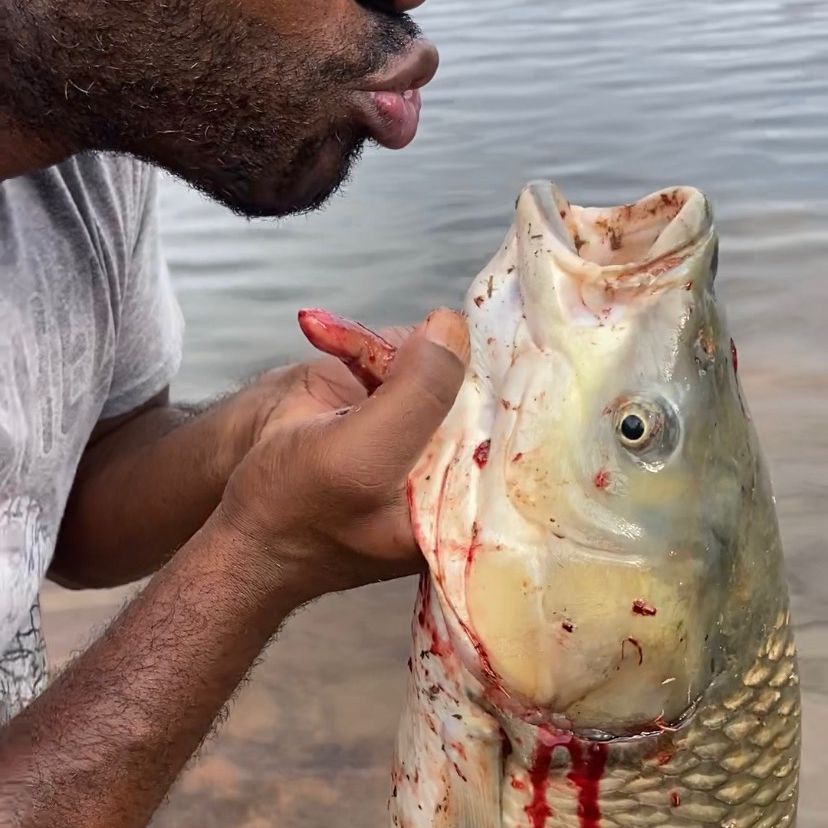 fishingbay2ga