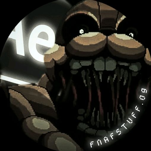 ☆ • ° 𝑍   | `