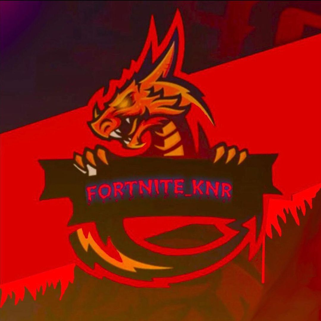 Fortnite_knr