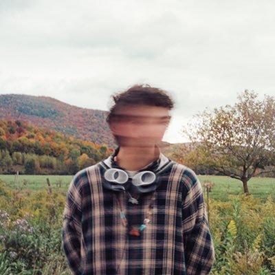 frankie jonas