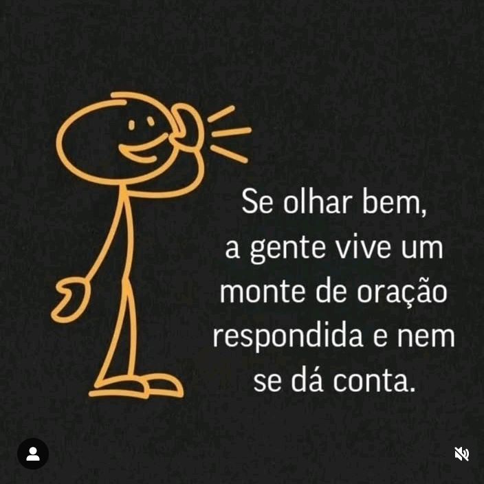 Frases do dia