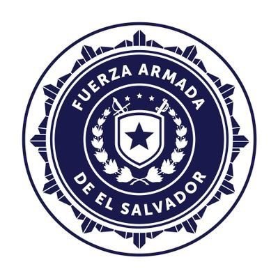 FUERZA ARMADA