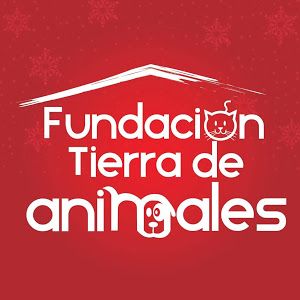 Fundación