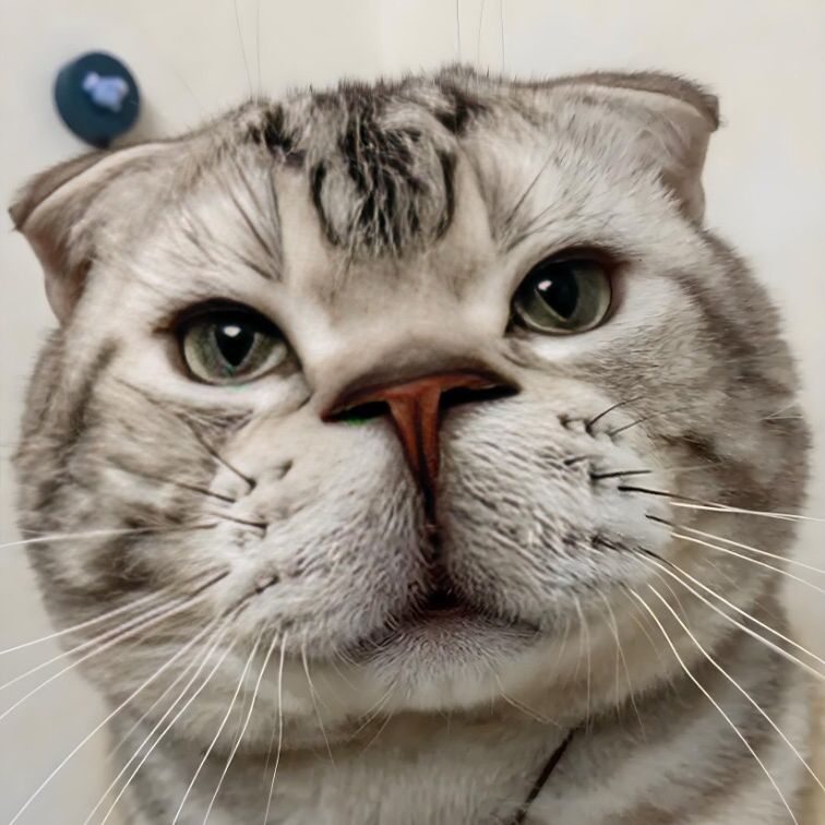Petbabytime666