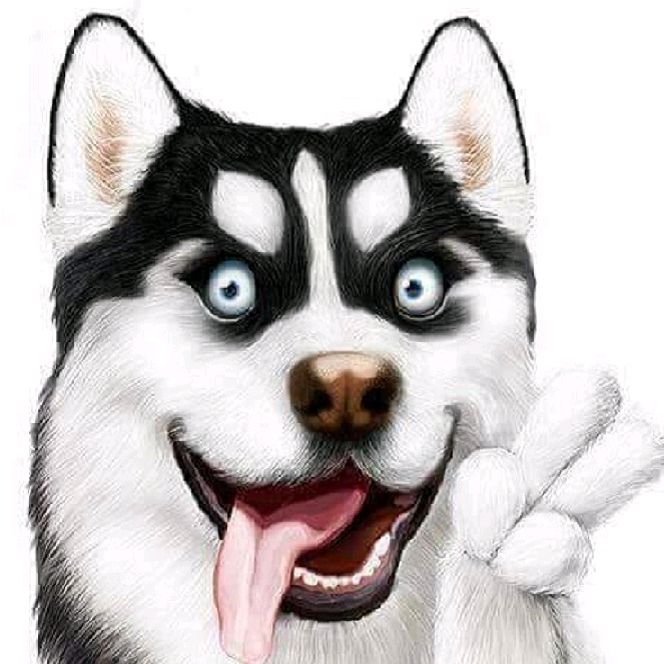 ♡♡ Fundog ♡♡