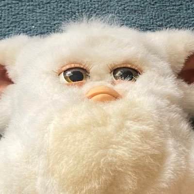 もりもり