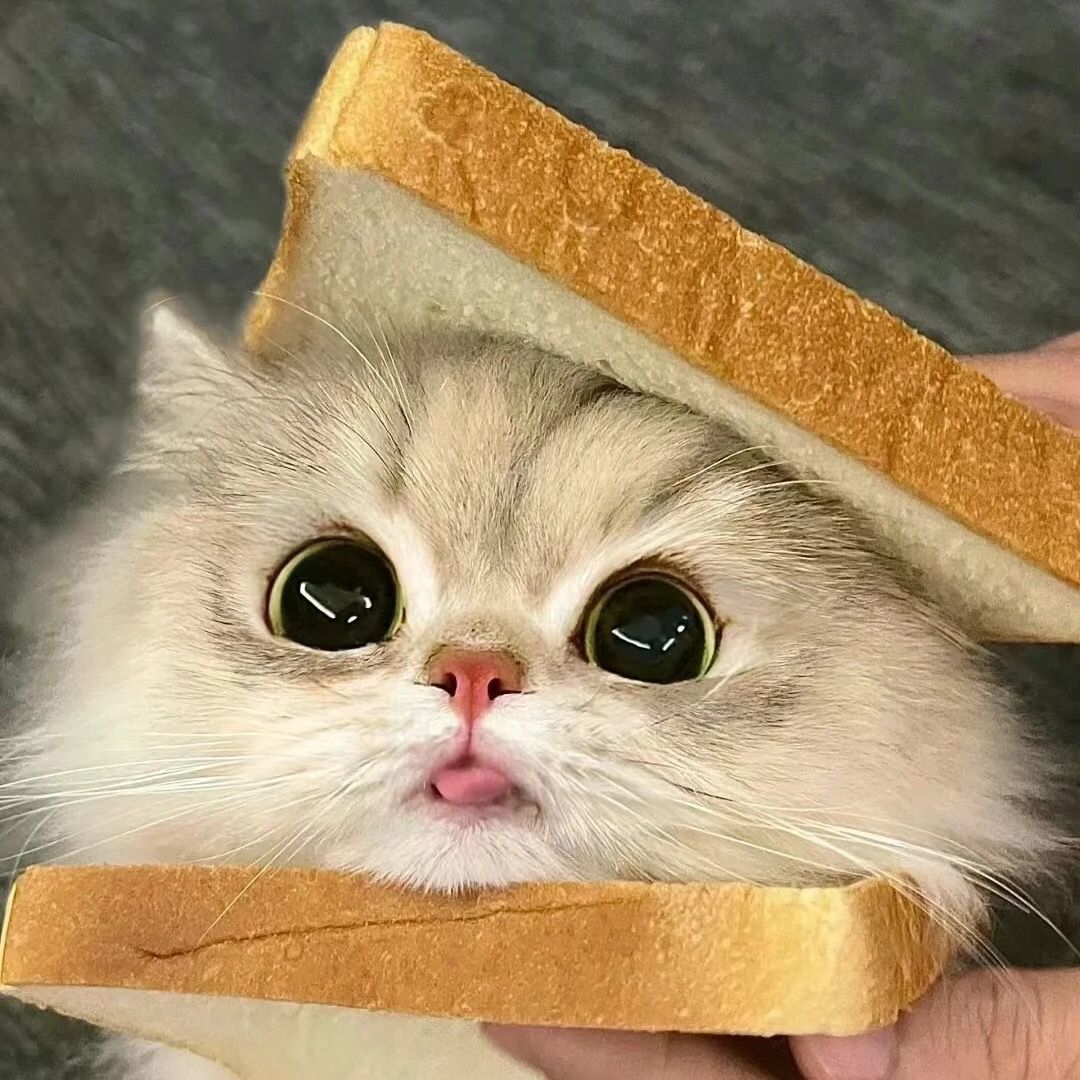 FurlyMade