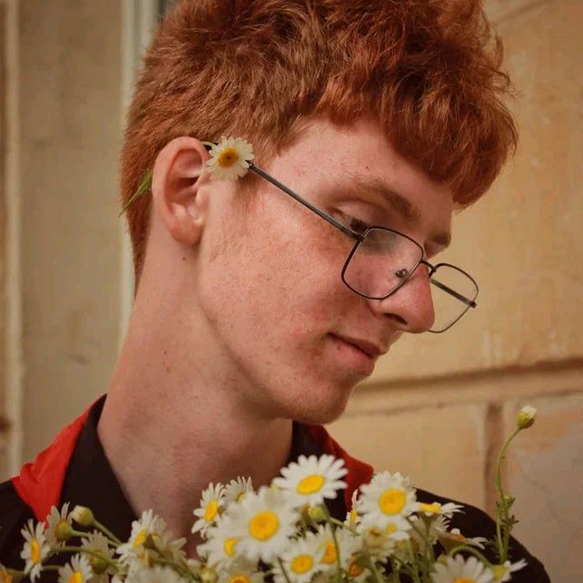 Рыжий броу