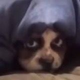 ㅤ