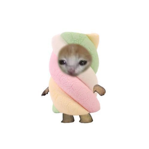 ♡215K♡