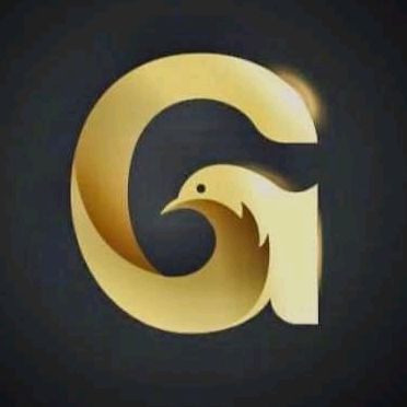 GarzaVision