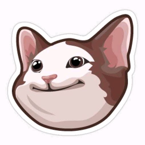 Gatinho Pobre
