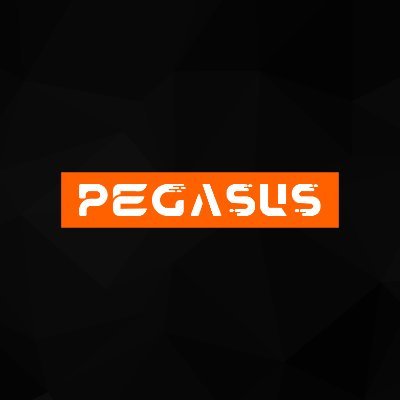 Pegasus Kripto