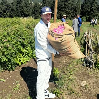 CESAR GONZALEZ/ULTRA NICHO PERFUME