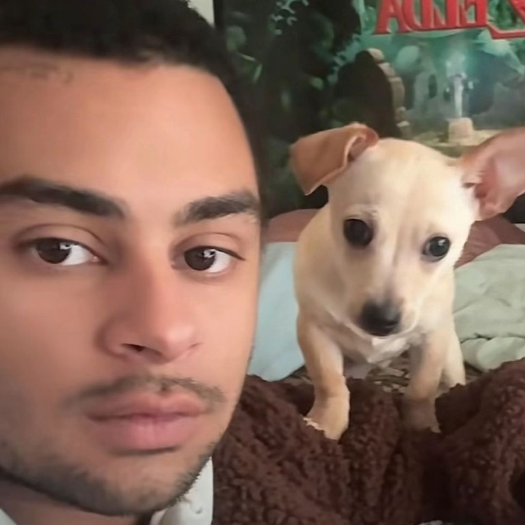 gizmo & marquise