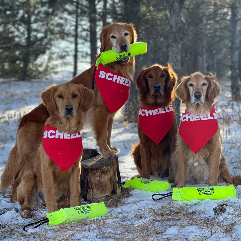 Bentley & Bailey - Boston