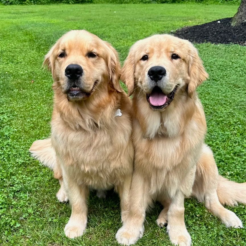 Boone & Bodie