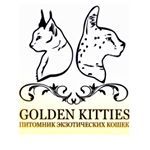 golden_kitties