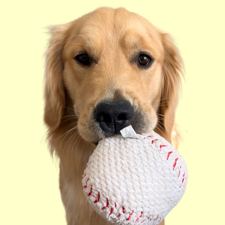 Golden Jeter