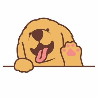 Golden Retrievers ❤️