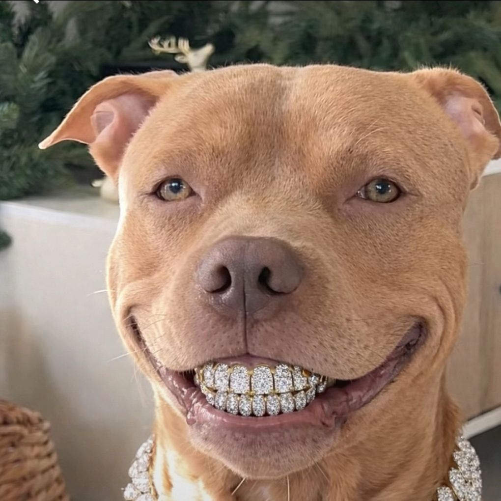 goodboihemi