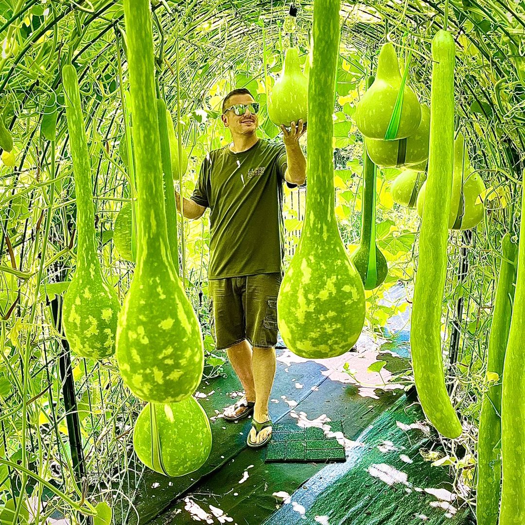 Gourdfarmer
