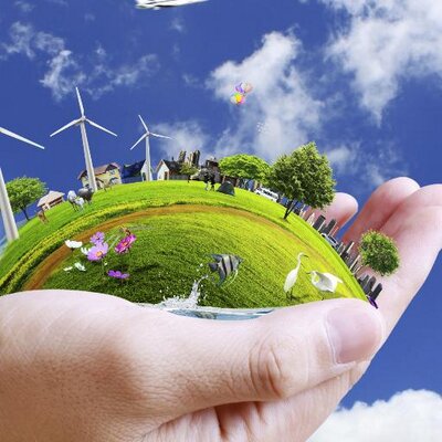Green Business World