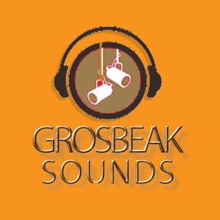 grosbeak_sounds