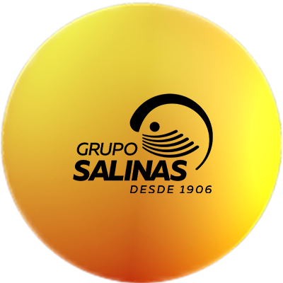 Grupo Salinas