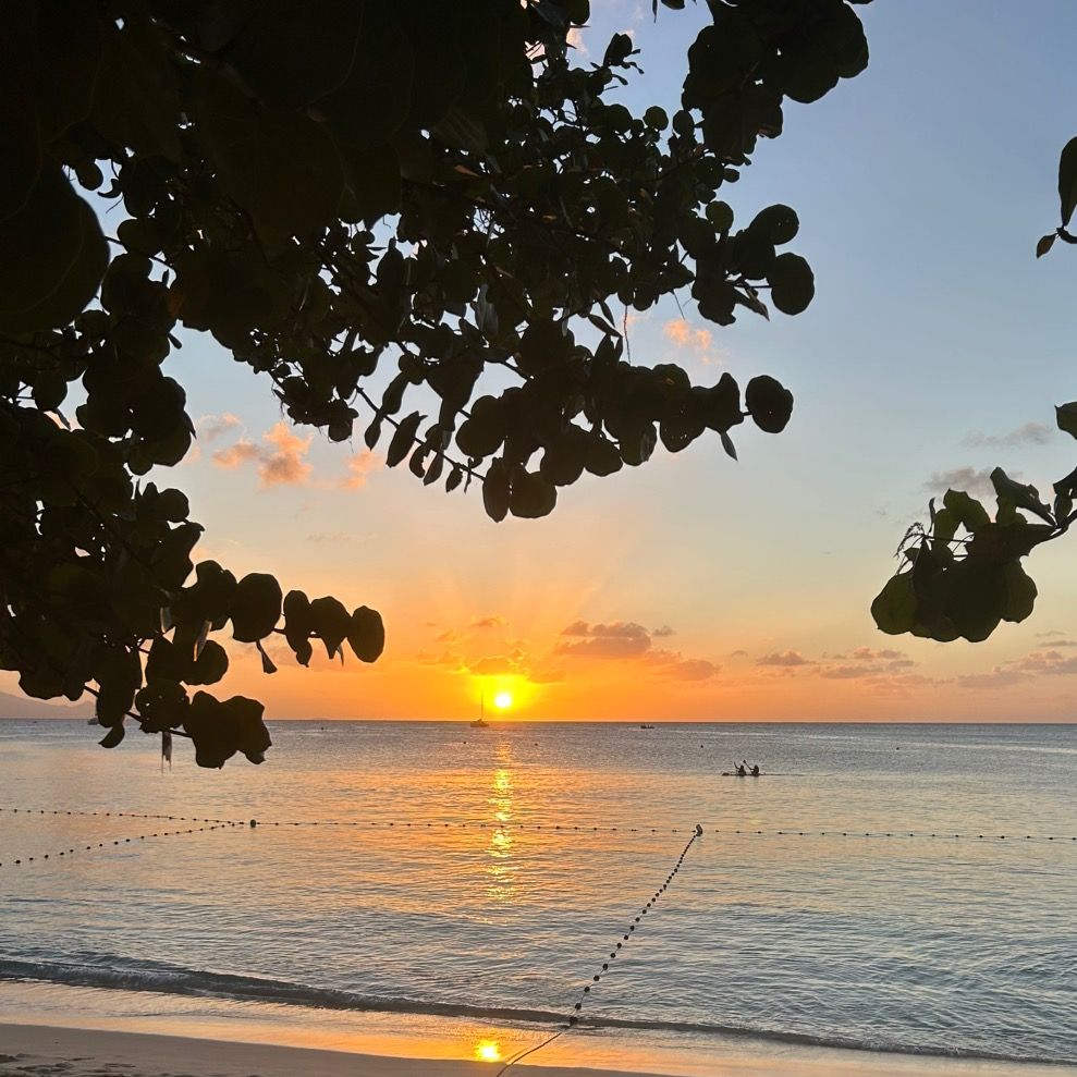 🌴𝓖𝔀𝓪𝓭𝓪 𝓔́𝓿𝓪𝓼𝓲𝓸𝓷🌴