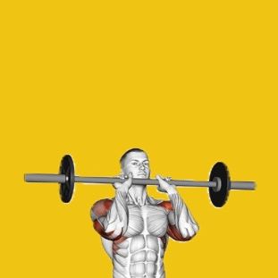 gymmyworm