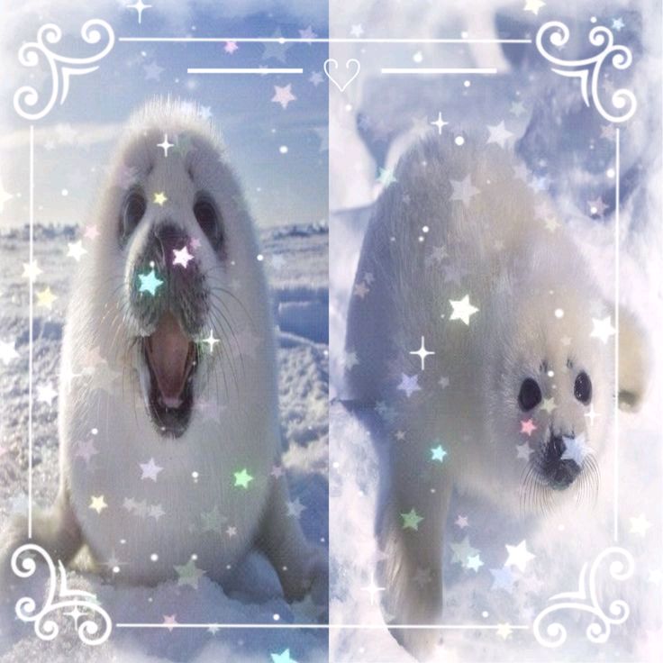ˋˏᯓ🍙  ░  ʜᴀᴄʜɪ  ₊˚ 🪽 ⋅ ☆ˊˎ