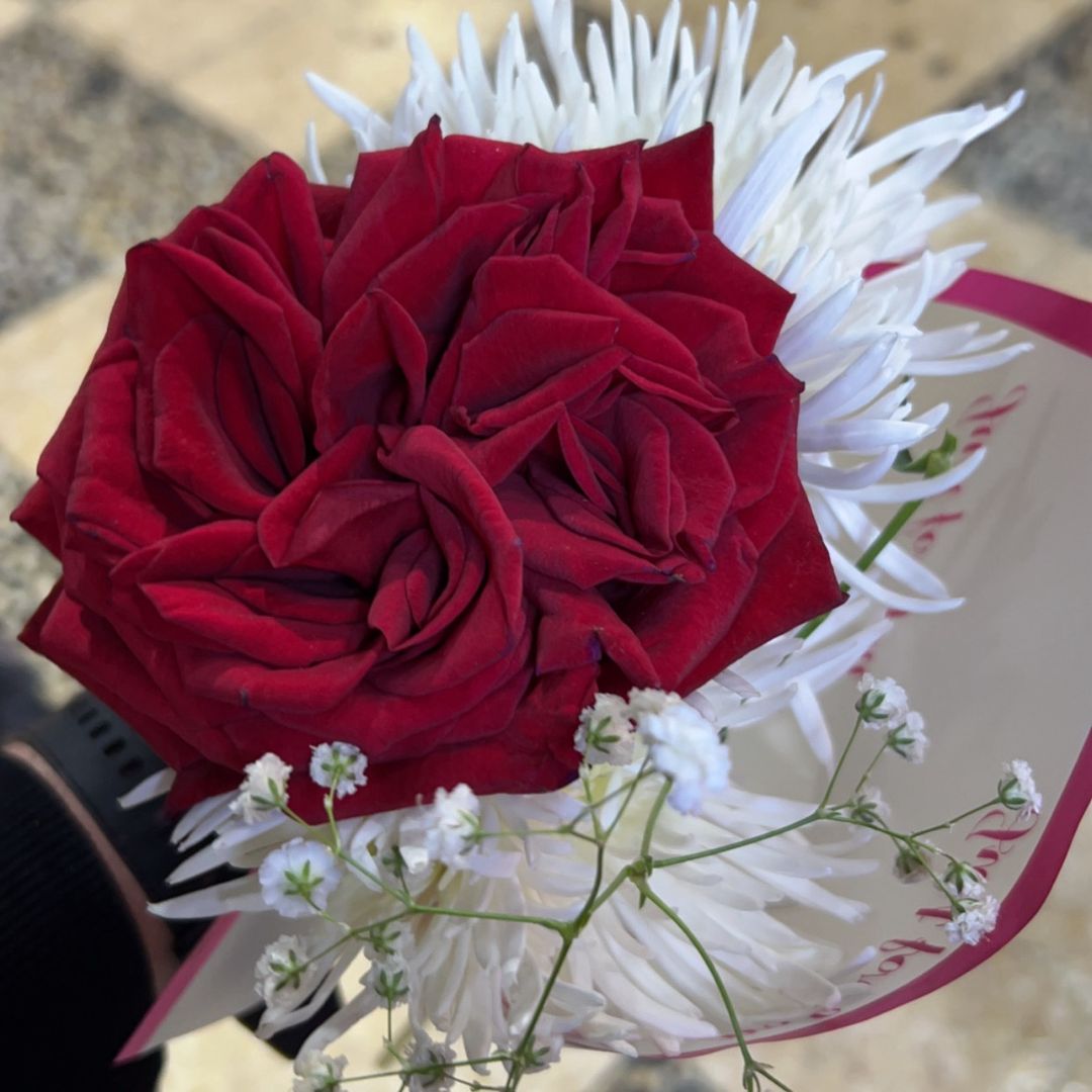 إسلاميات