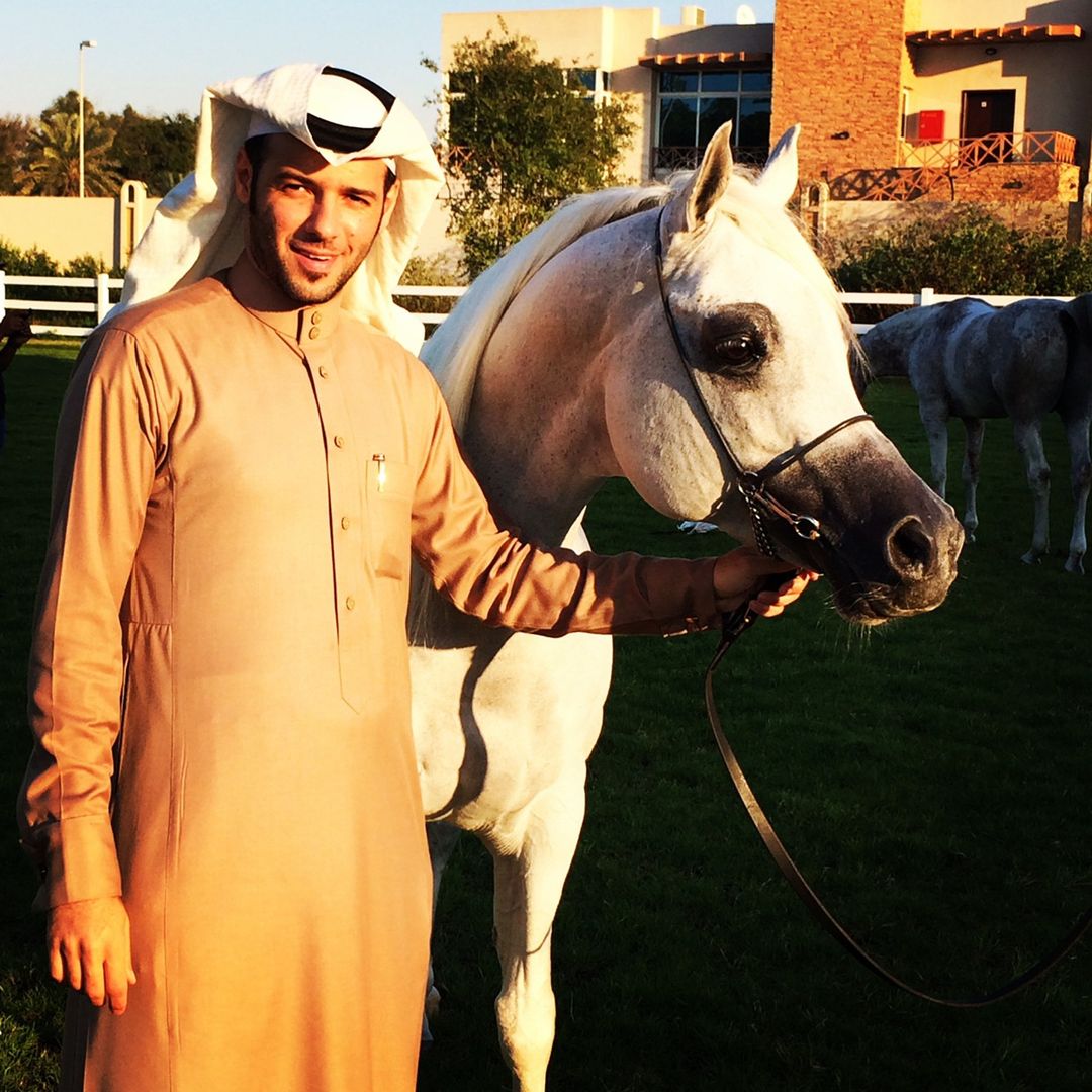 مربط المباركية للخيل العربية