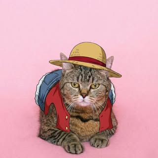 Happy Cat