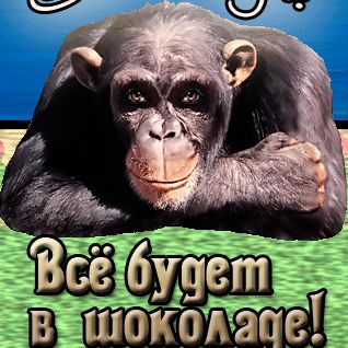 Слава Добрый Вечер🤪😜🤪