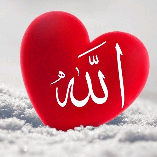 ✧༺Hasmat Ali Ali༻✧