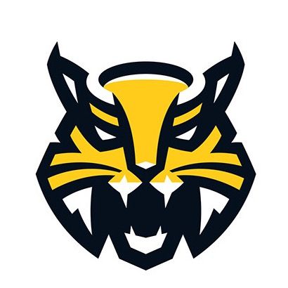 ХК «Северсталь»