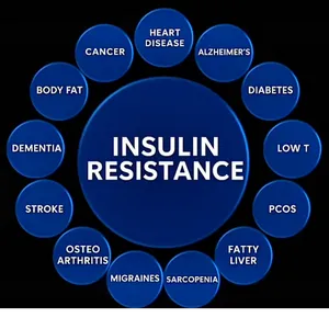 Blood sugar | Metabolic Reset