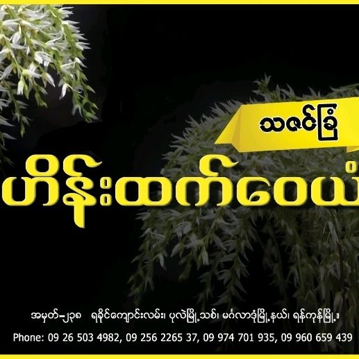 သဇင်ပန်း
