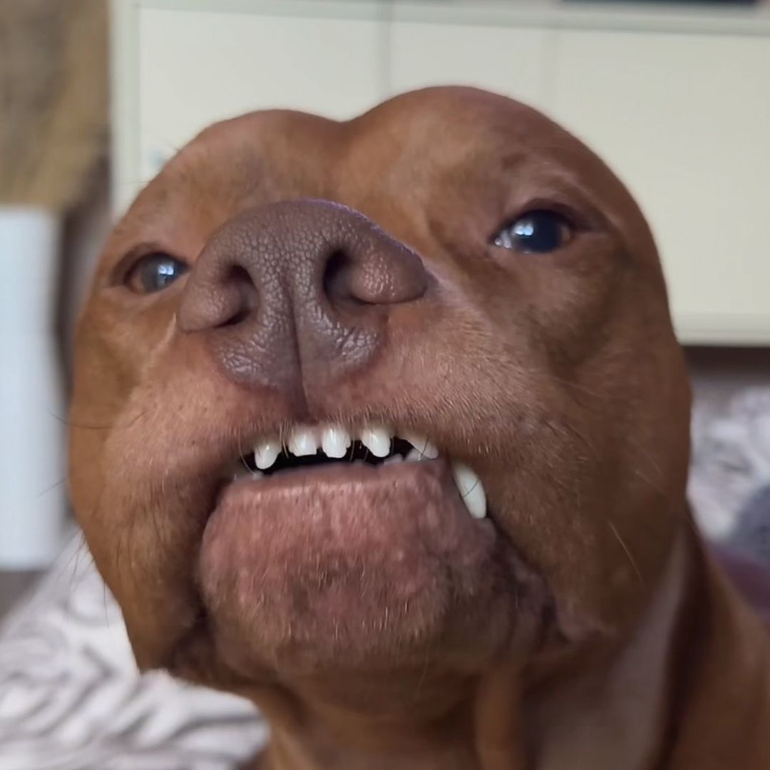 HeisenbergThePitt ♡