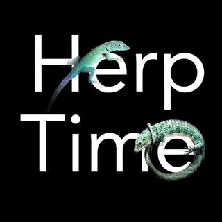 HerpTime