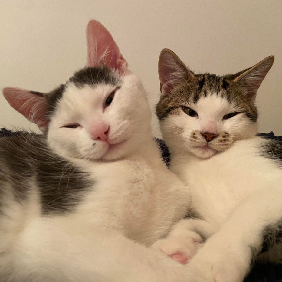 Hettie&Heston