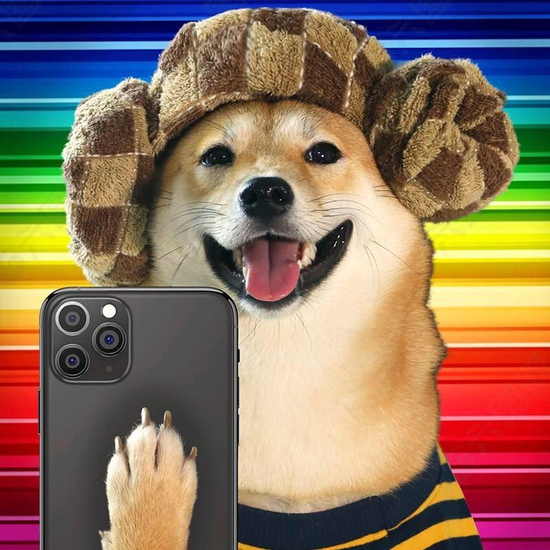 Pets Story