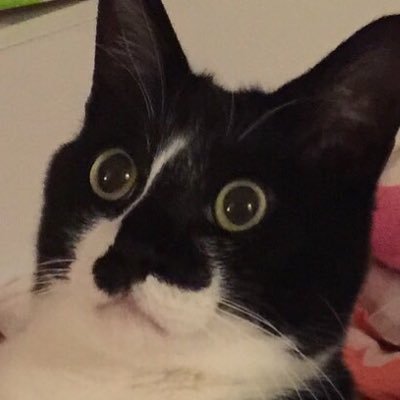響介