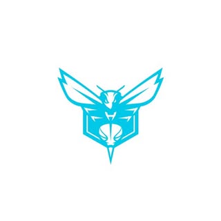 Charlotte Hornets