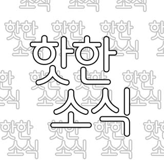 핫한소식