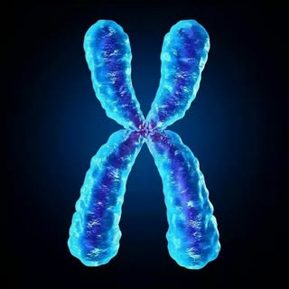 ХРОМОСОМА 49